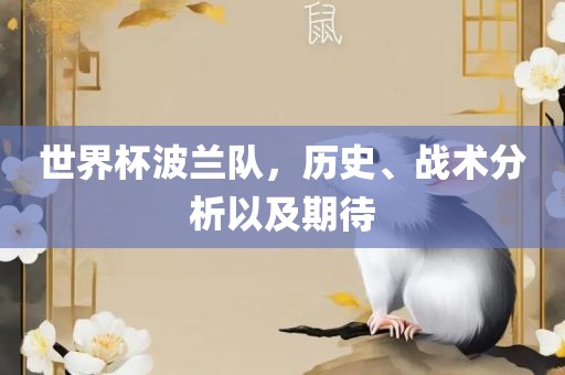 世界杯波兰队，历史、战术分析以及期待