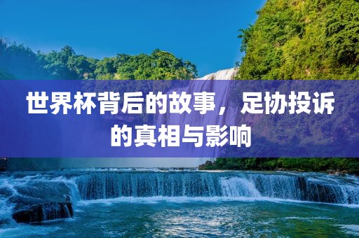 世界杯背后的故事，足协投诉的真相与影响