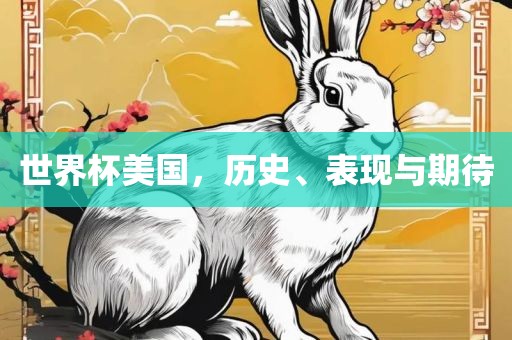 世界杯美国，历史、表现与期待