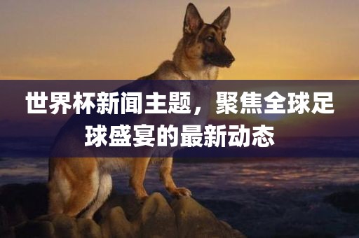 世界杯新闻主题，聚焦全球足球盛宴的最新动态漯河市盈旭机械设备有限公司