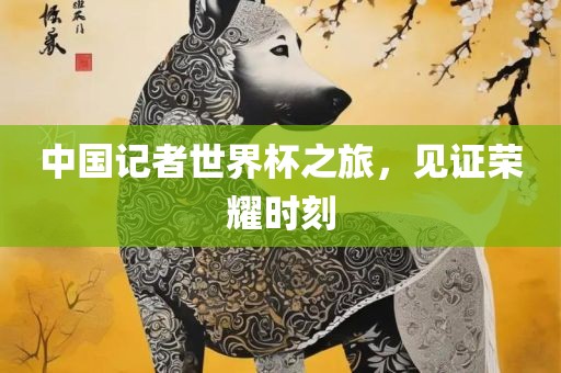 中国记者世界杯之旅，见证荣耀时刻漯河市盈旭机械设备有限公司