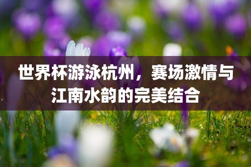世界杯游泳杭州，赛场激情与江南水韵的完美结合