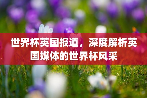 世界杯英国报道，深度解析英国媒体的世界杯漯河市盈旭机械设备有限公司风采