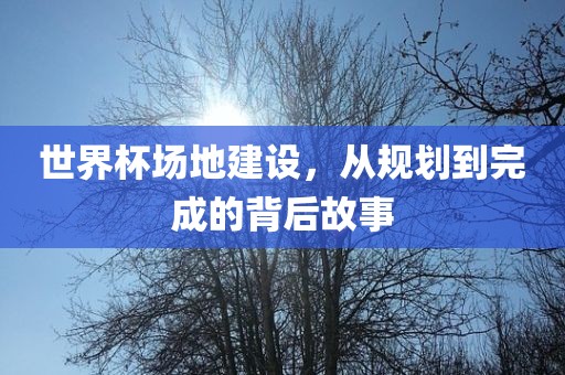世界杯场地建设，从规划到完成的背后故事
