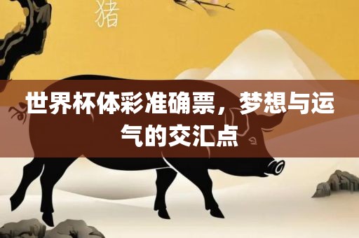 世界杯体彩准确票，梦想与运气的交汇点