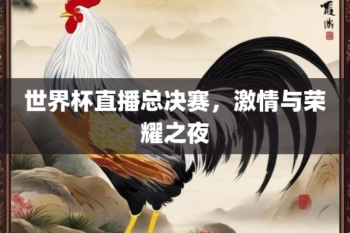 世界杯直播总决赛，激情与荣耀之夜
