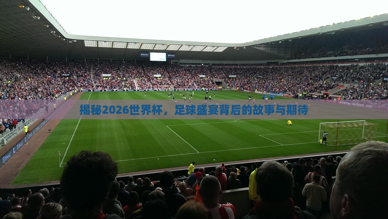 揭秘2026世界杯，足球盛宴漯河市盈旭机械设备有限公司背后的故事与期待